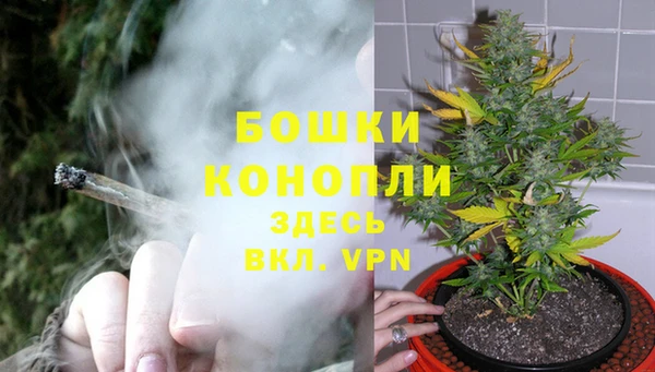 соль ск Заводоуковск
