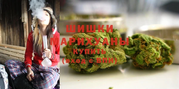 соль ск Заводоуковск