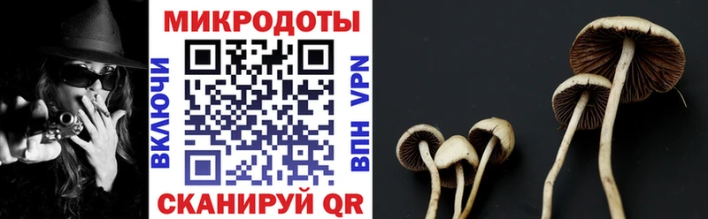 Псилоцибиновые грибы GOLDEN TEACHER  Злынка 