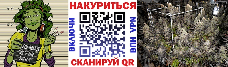 Марихуана SATIVA & INDICA  Злынка 